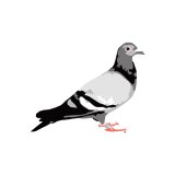 STAPLE DESIGN NEW ARRIVALS!!!!