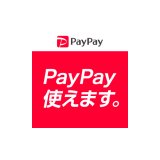 PayPay is now available!!!!