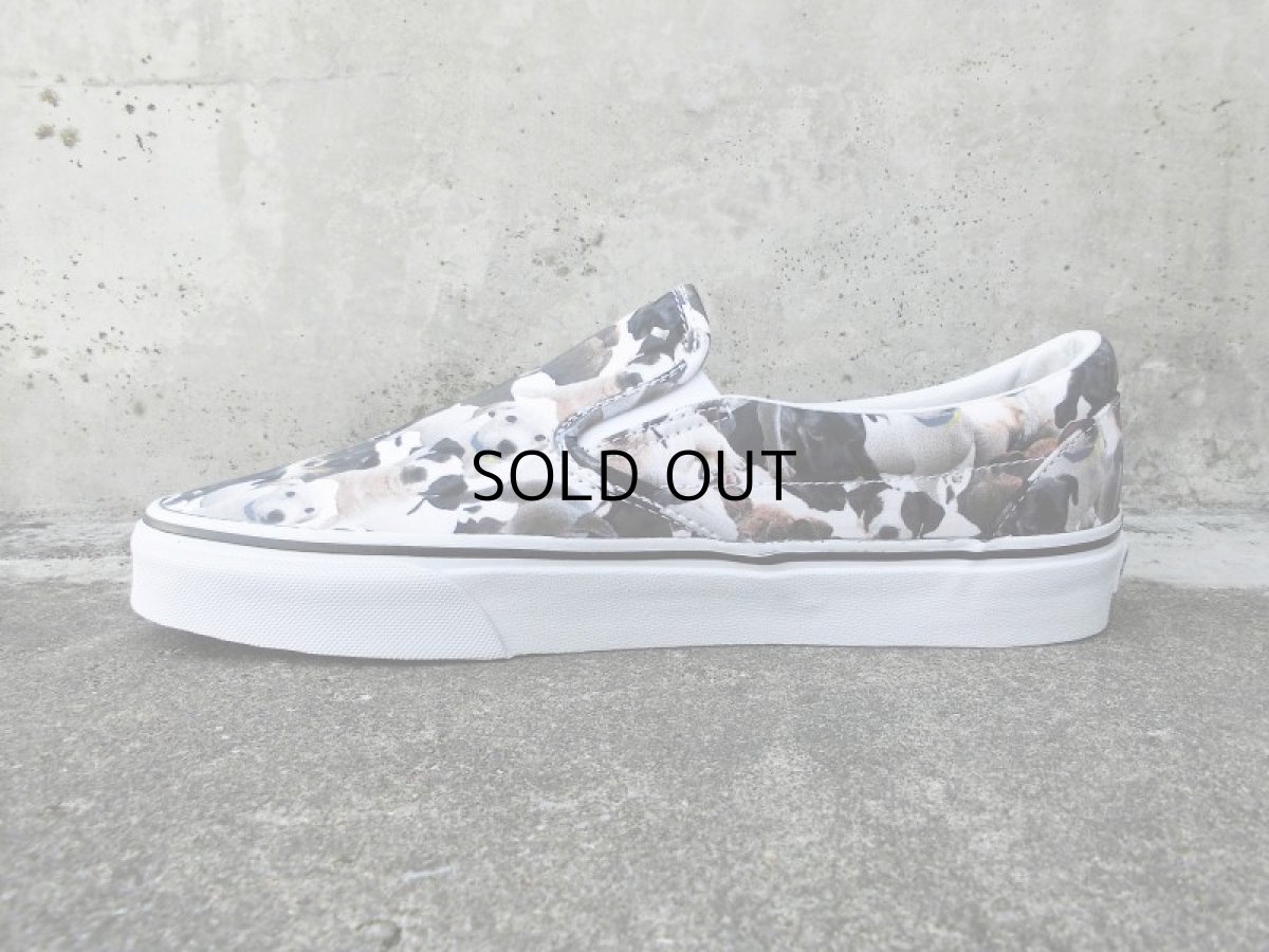 画像3: VANS X ASPCA SLIP ON (3)