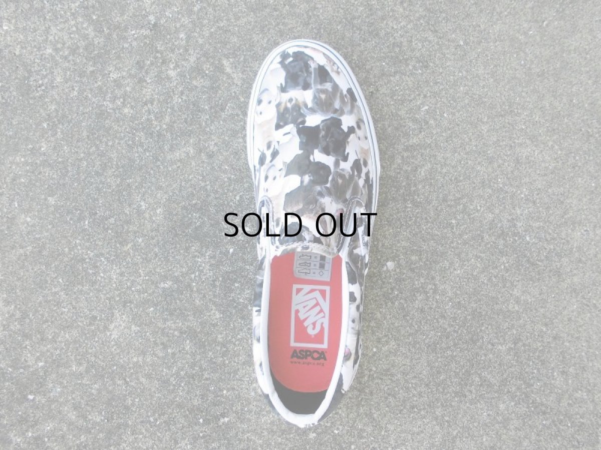 画像4: VANS X ASPCA SLIP ON (4)