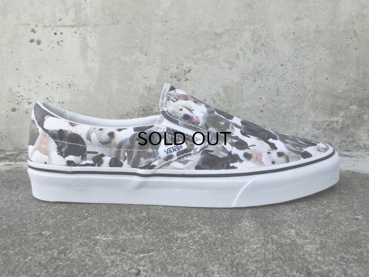 画像1: VANS X ASPCA SLIP ON【DOG】 (1)