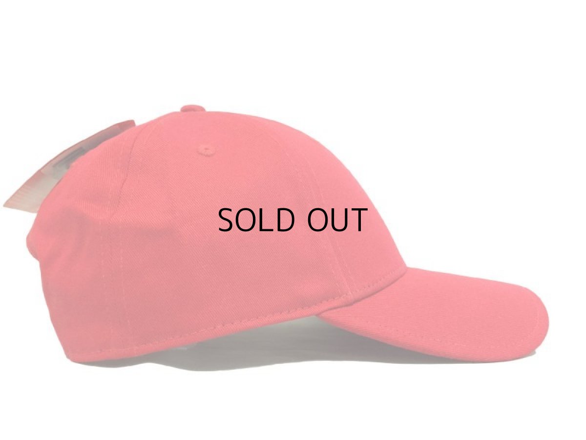 画像2: THE NORTH FACE HERON SNAPBACK CAP (2)