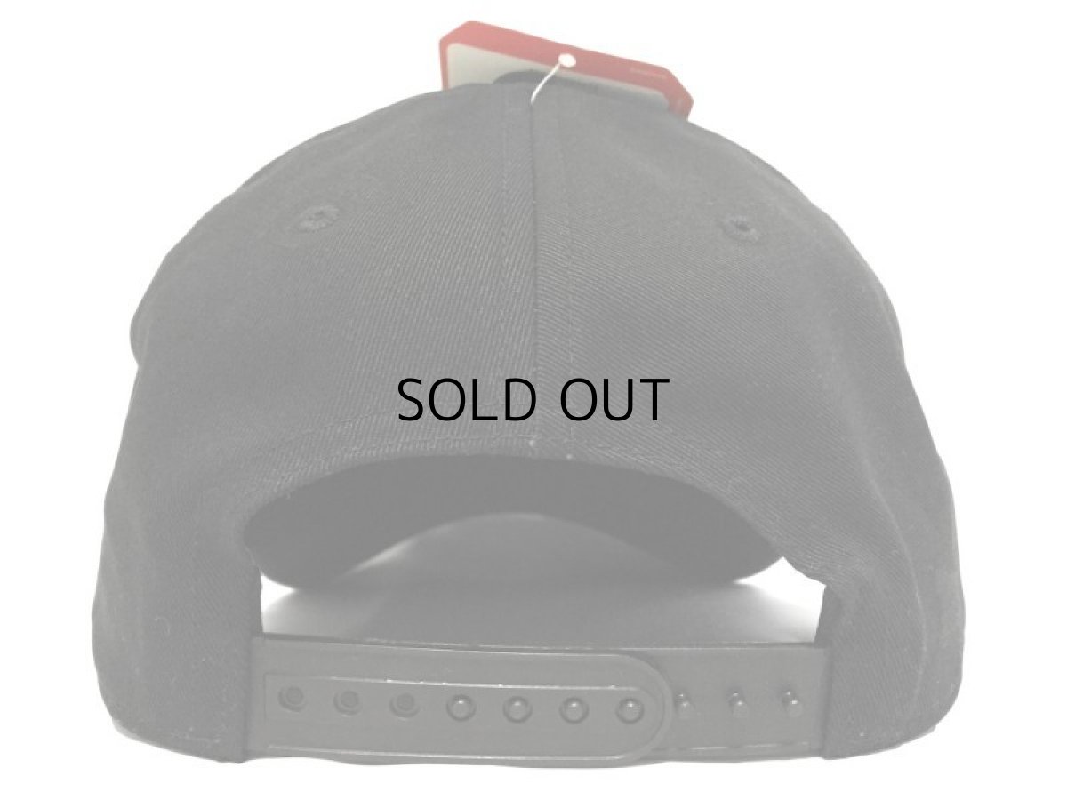 画像3: THE NORTH FACE HERON SNAPBACK CAP (3)