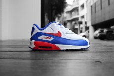 画像1: NIKE AIR MAX 90 LTR (TD) (1)