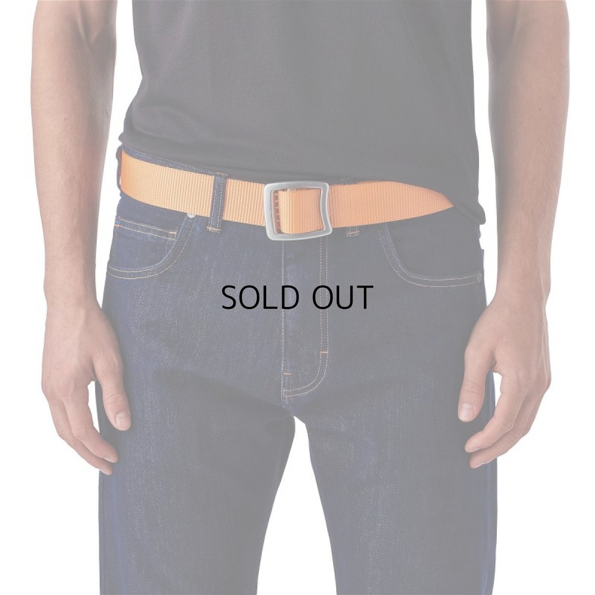 画像4: PATAGONIA TECH WEB BELT (4)