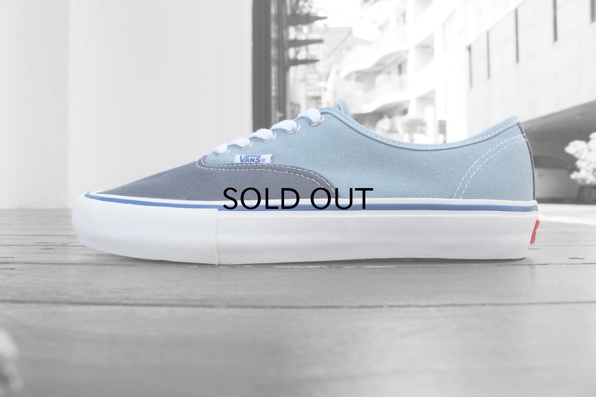 画像1: VANS AUTHENTIC PRO "ELIJAH BERLE" (1)