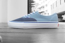 画像1: VANS AUTHENTIC PRO "ELIJAH BERLE" (1)