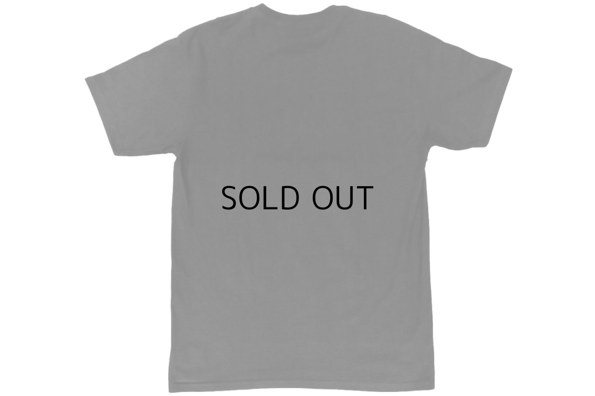 画像3: VANS OTW ALE TEE (3)