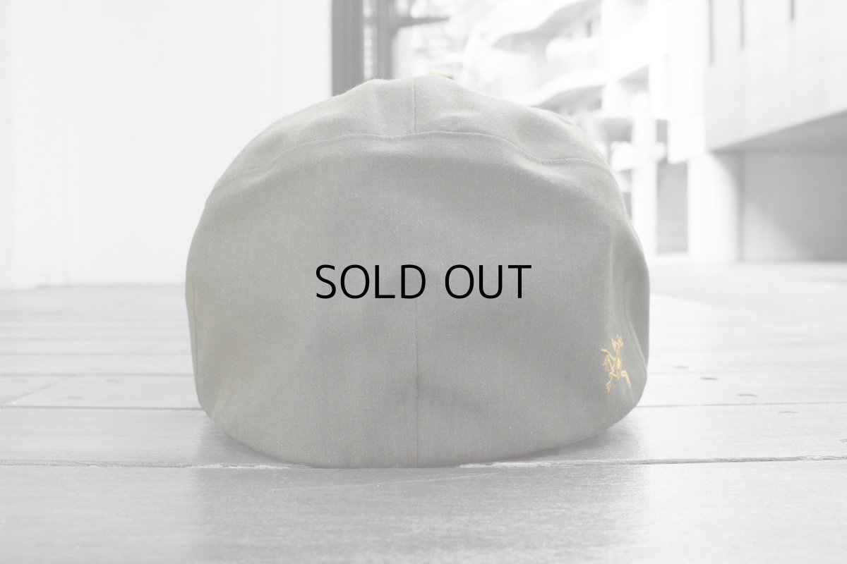 画像3: ARC'TERYX QUANTA CAP (3)