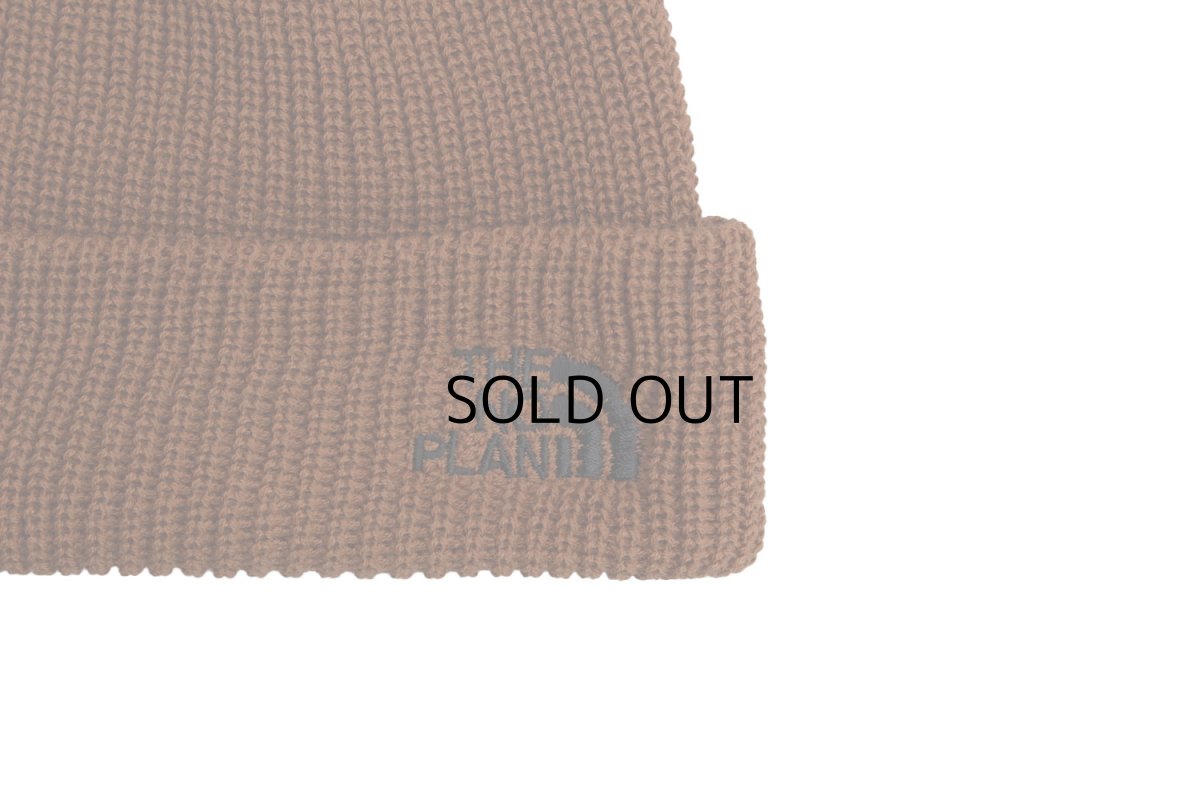 画像3: THE NO PLAN SHORT BEANIE "MADE IN USA" (3)