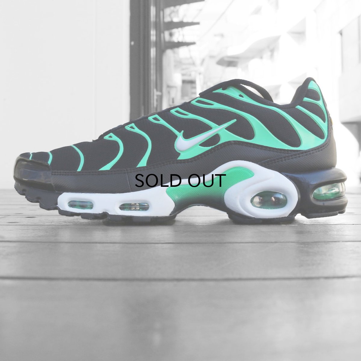 画像1: NIKE AIR MAX PLUS (1)