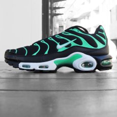 画像1: NIKE AIR MAX PLUS (1)