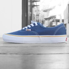 画像1: VANS X ANTIHERO AUTHENTIC PRO (1)