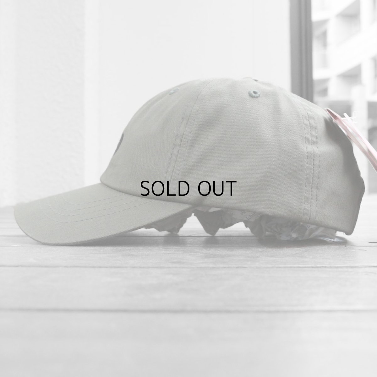 画像4: THE NORTH FACE NORM CAP (4)