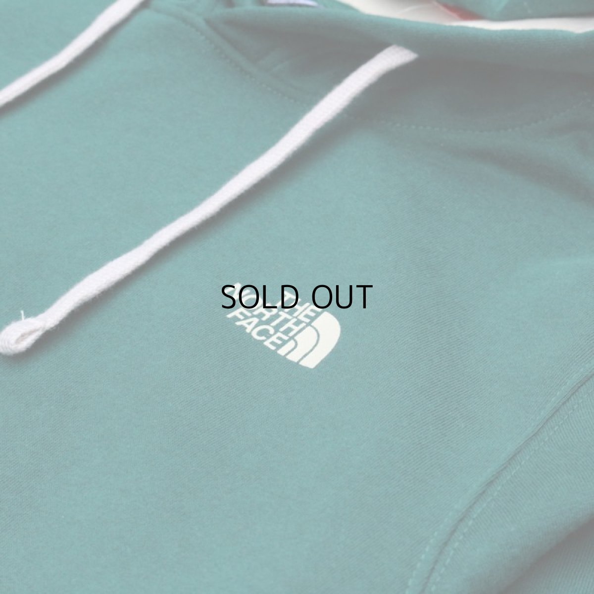 画像2: THE NORTH FACE THROWBACK HOODIE (2)