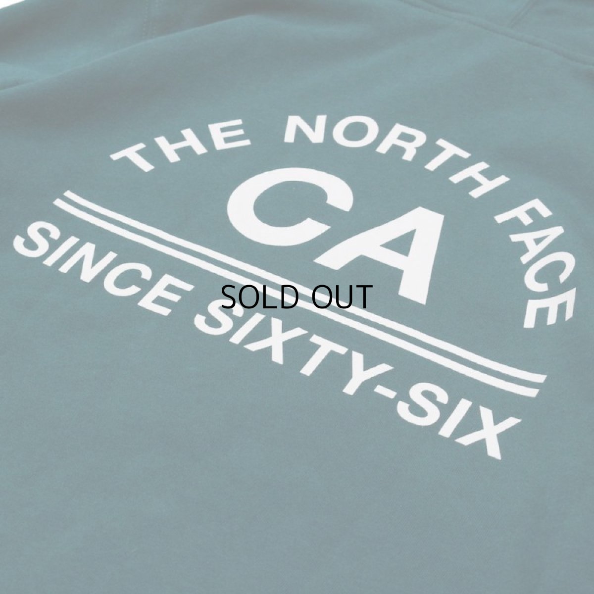 画像4: THE NORTH FACE THROWBACK HOODIE (4)