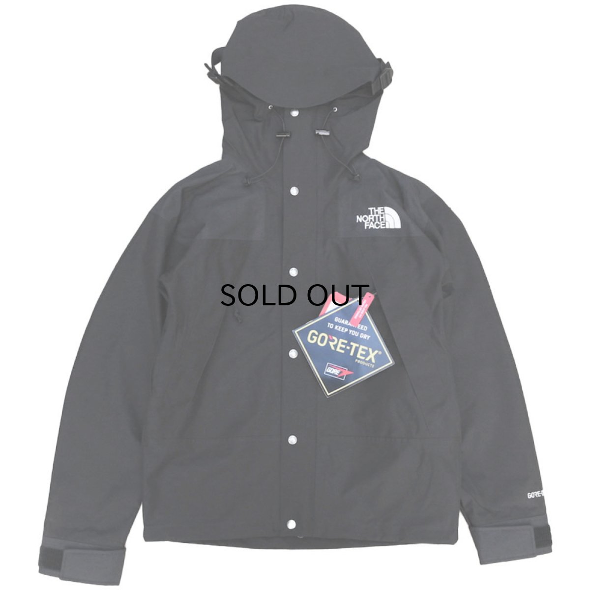 画像1: THE NORTH FACE 1990 MOUNTAIN JACKET GTX (1)