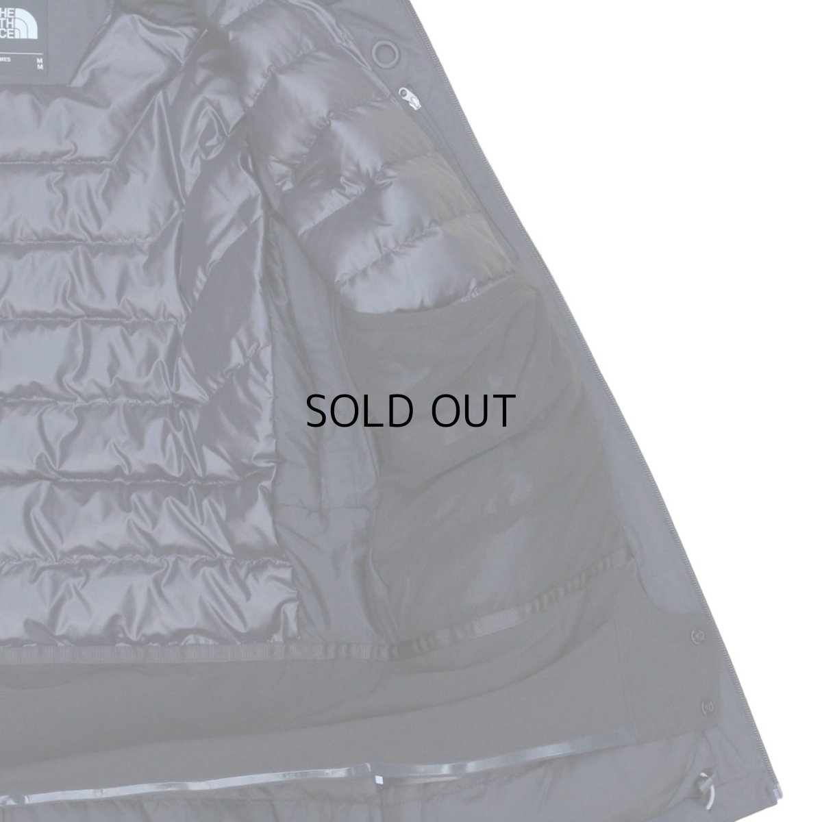 画像6: THE NORTH FACE DIAMETER JACKET (6)