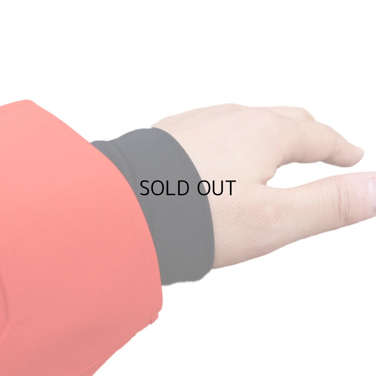 画像7: THE NORTH FACE CHAKAL JACKET (7)