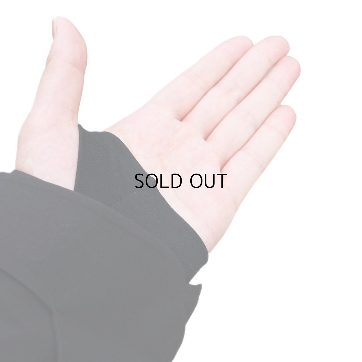 画像7: THE NORTH FACE ANONYM JACKET (7)