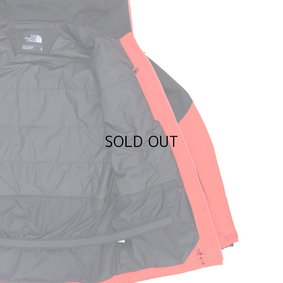 画像5: THE NORTH FACE CHAKAL JACKET (5)