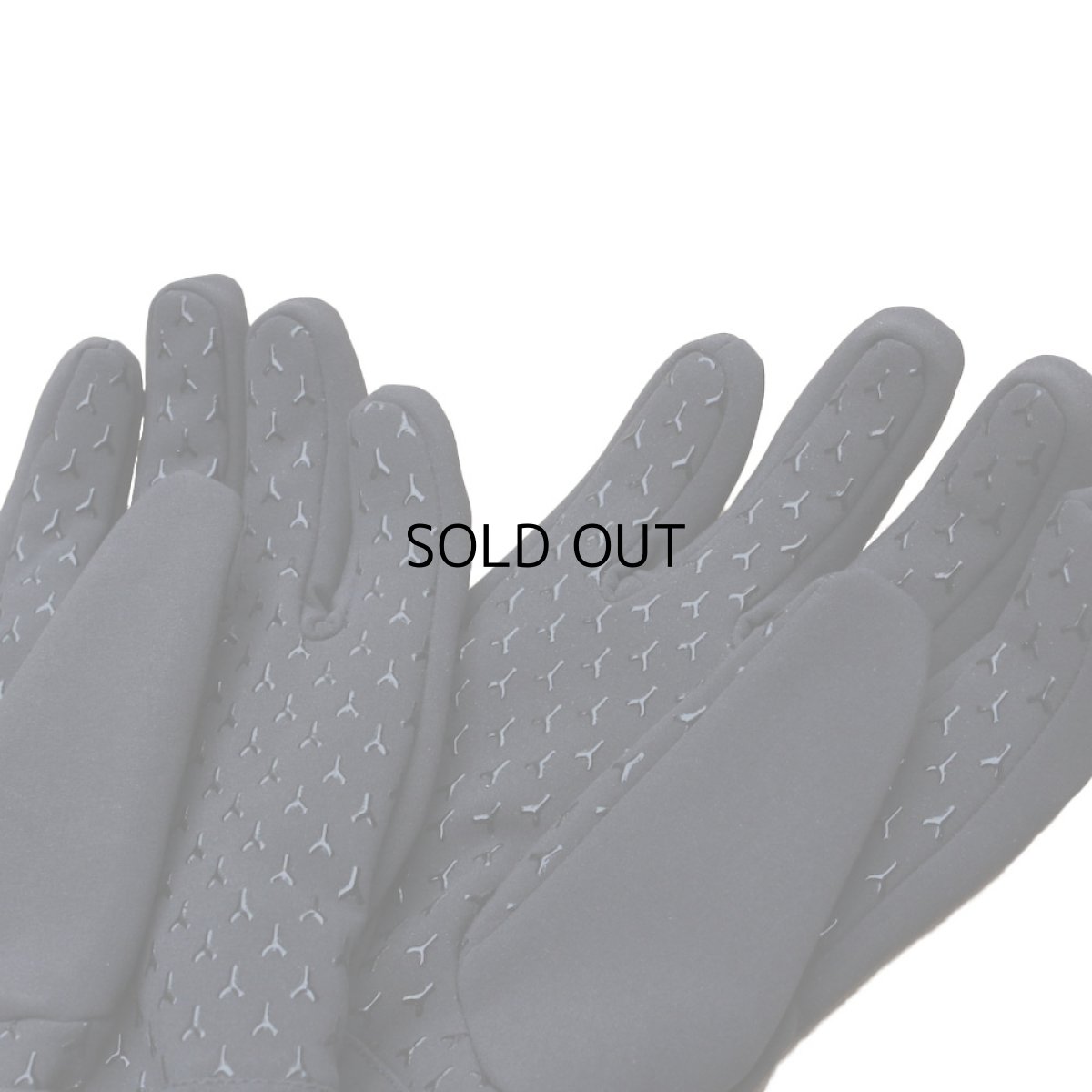 画像3: THE NORTH FACE INSULATED APEX GLOVE (3)