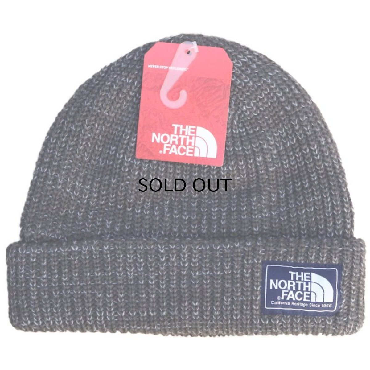 画像1: THE NORTH FACE SALTY DOG BEANIE (1)