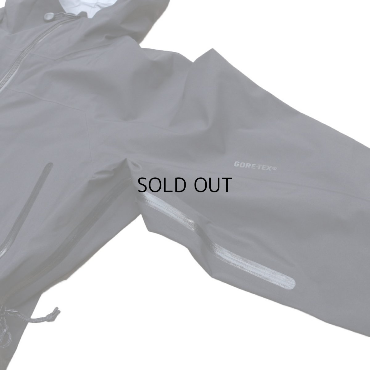 画像3: ARC'TERYX ZETA AR JACKET (3)