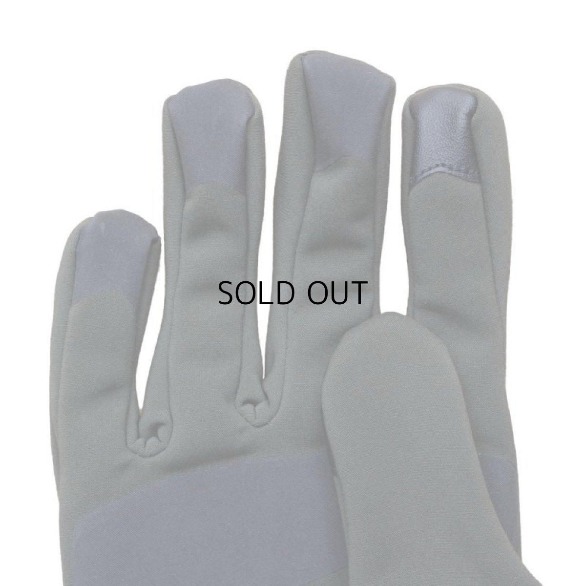 画像3: ARC'TERYX VENTA GLOVE (3)