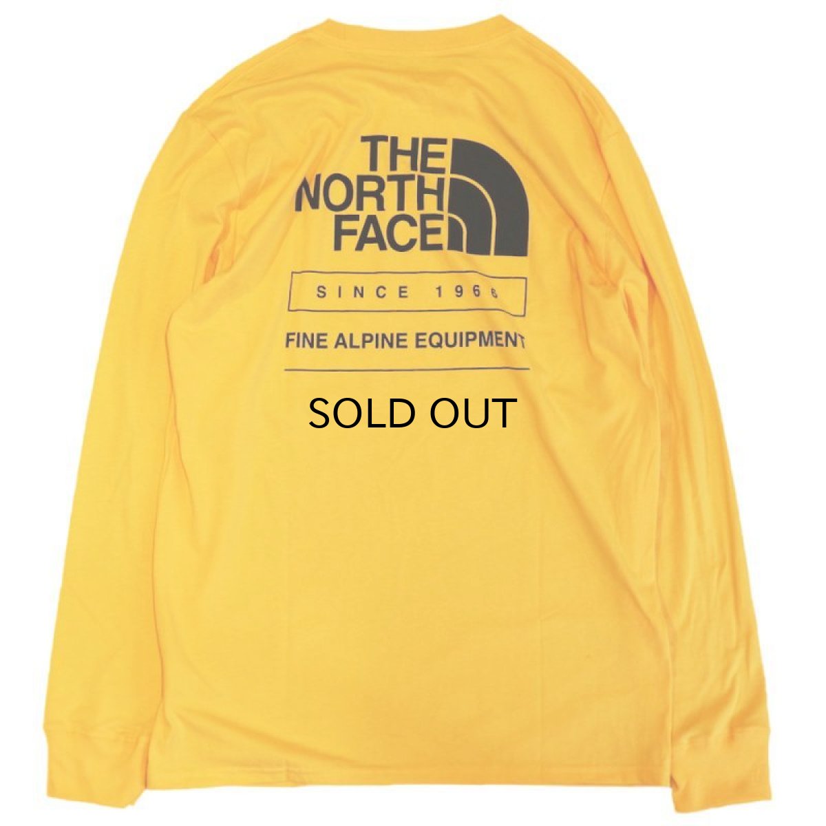 画像1: THE NORTH FACE THROWBACK L/S TEE (1)