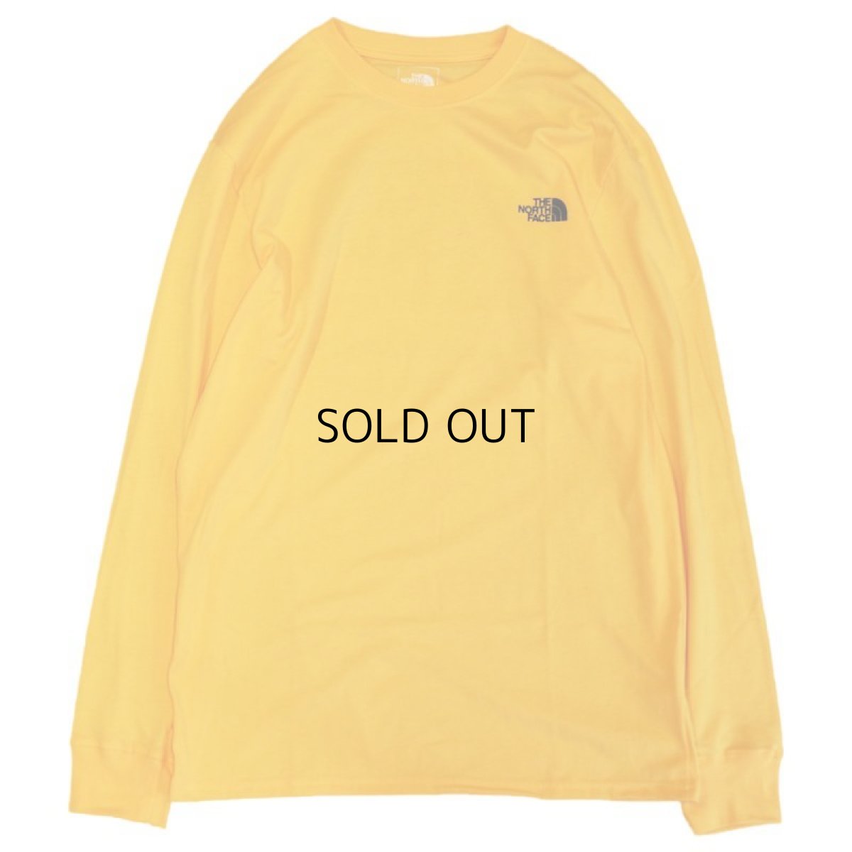 画像2: THE NORTH FACE THROWBACK L/S TEE (2)