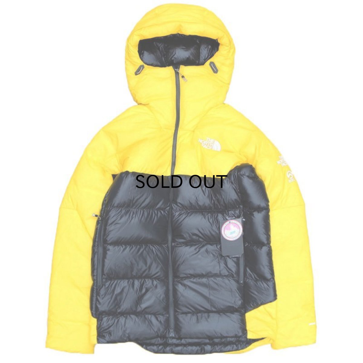 画像1: THE NORTH FACE SUMMIT L6 AW DOWN BELAY PARKA (1)