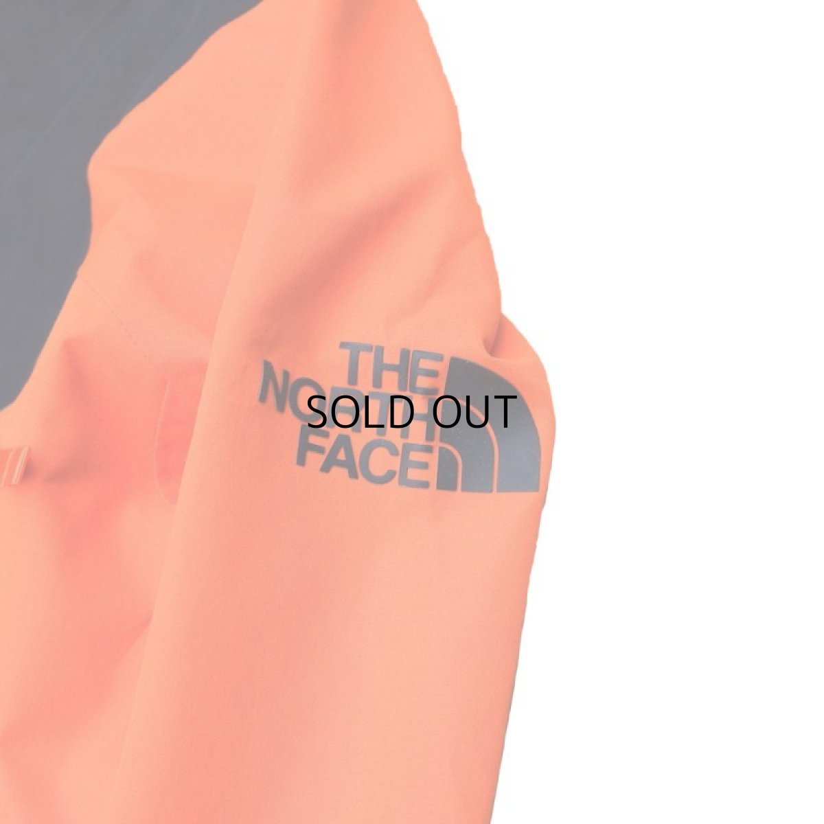 画像2: THE NORTH FACE CEPTOR JACKET (2)