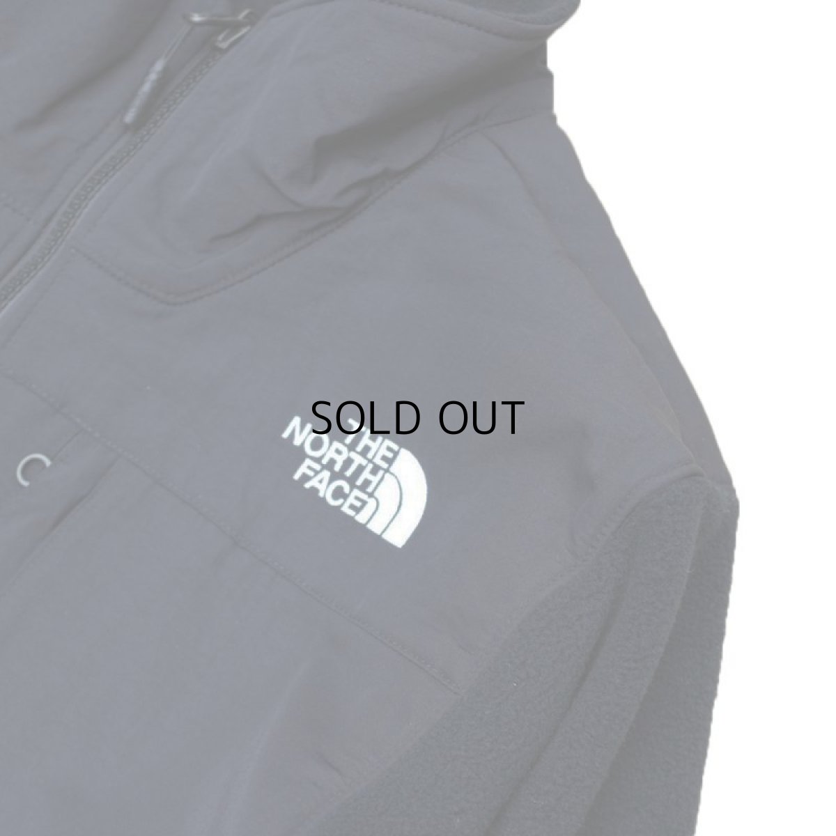 画像2: THE NORTH FACE DENALI 2 JACKET (2)