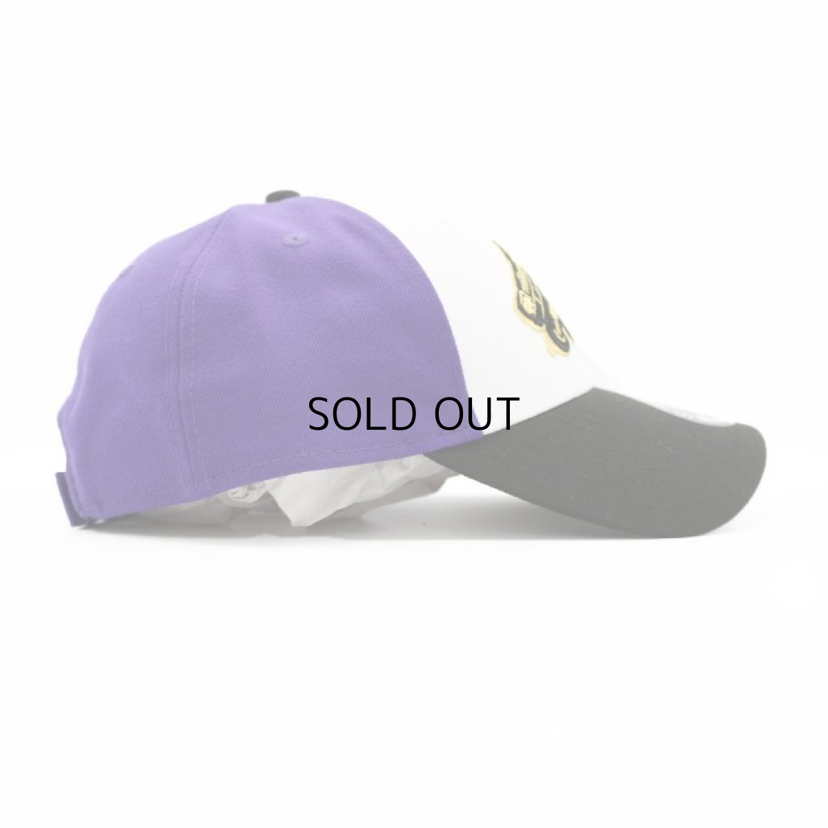 画像2: NEW ERA MILB FRESNO GRIZZLIES 9FORTY (2)