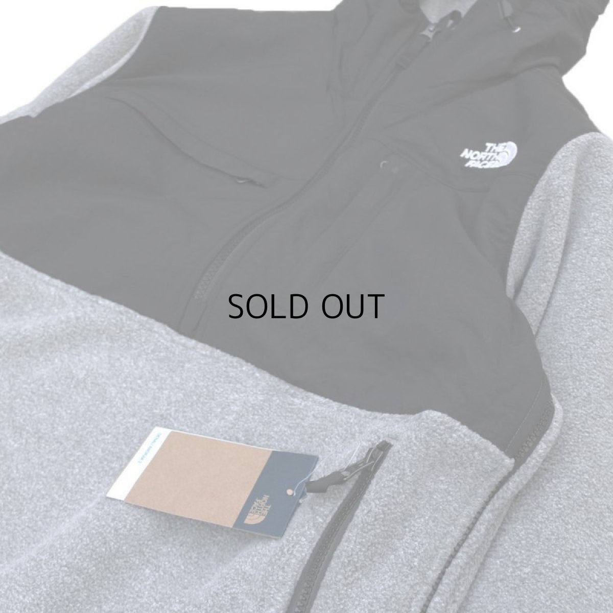 画像2: THE NORTH FACE DENALI 2 HOODIE (2)