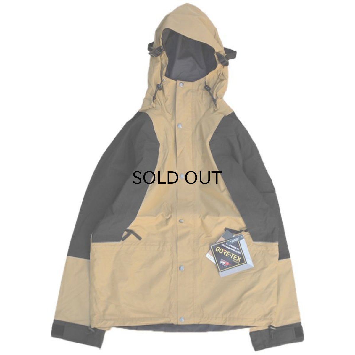 画像1: THE NORTH FACE 1994 RETRO MOUNTAIN LIGHT GORE-TEX JACKET II (1)