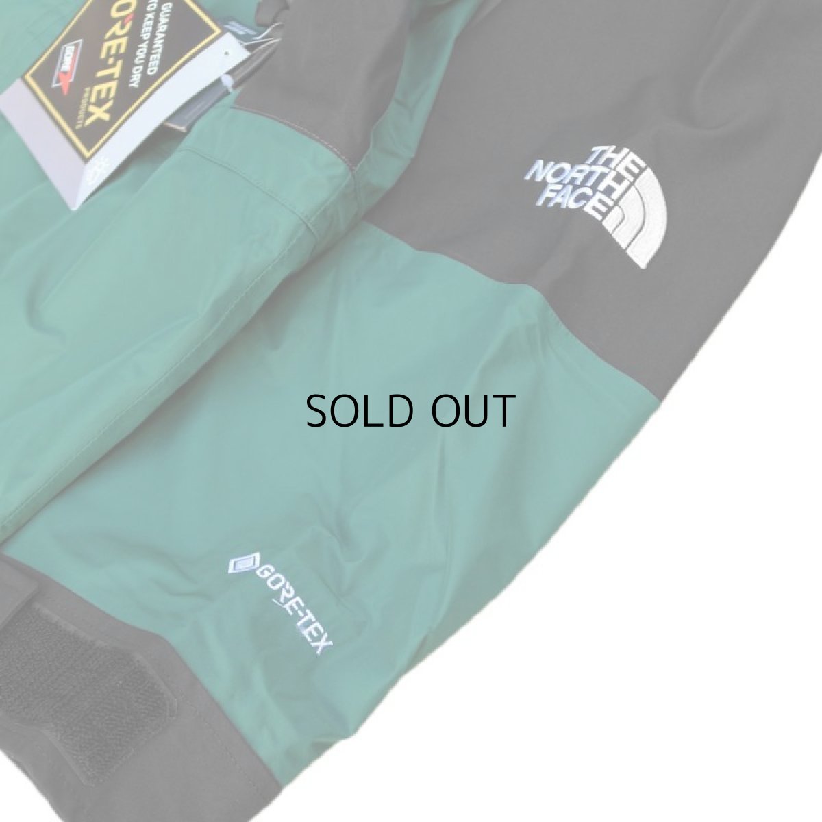 画像2: THE NORTH FACE 1994 RETRO MOUNTAIN LIGHT GORE-TEX JACKET II (2)