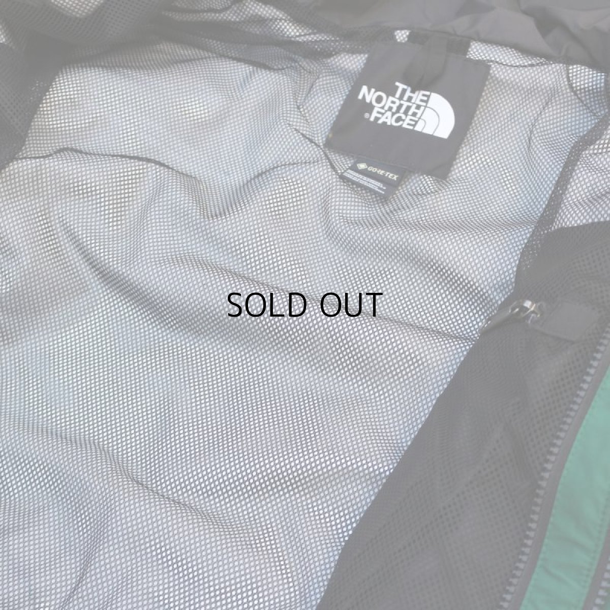 画像4: THE NORTH FACE 1994 RETRO MOUNTAIN LIGHT GORE-TEX JACKET II (4)