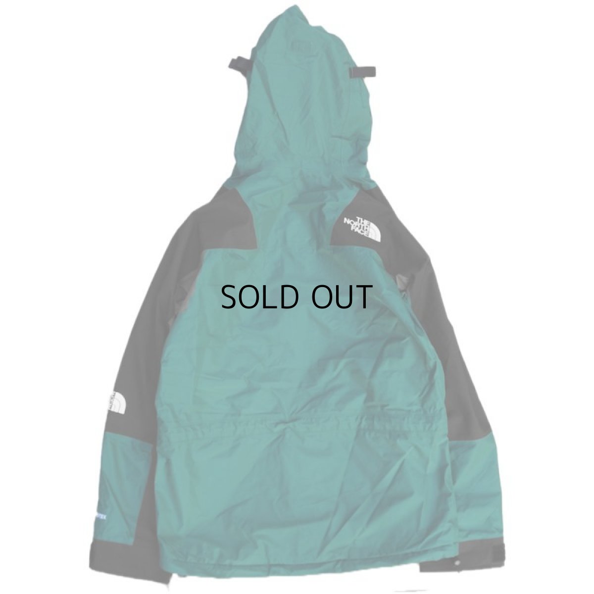 画像5: THE NORTH FACE 1994 RETRO MOUNTAIN LIGHT GORE-TEX JACKET II (5)