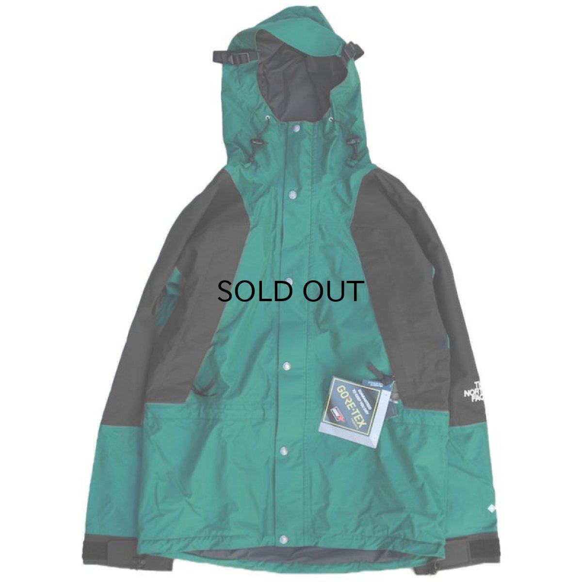 画像1: THE NORTH FACE 1994 RETRO MOUNTAIN LIGHT GORE-TEX JACKET II (1)