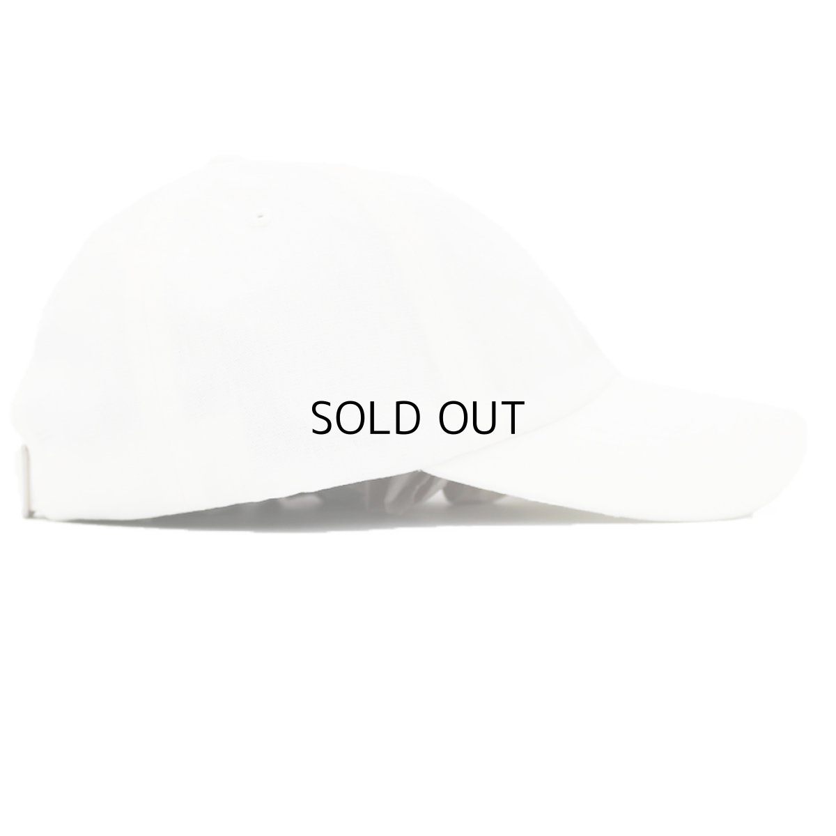 画像2: THE NORTH FACE NORM CAP (2)