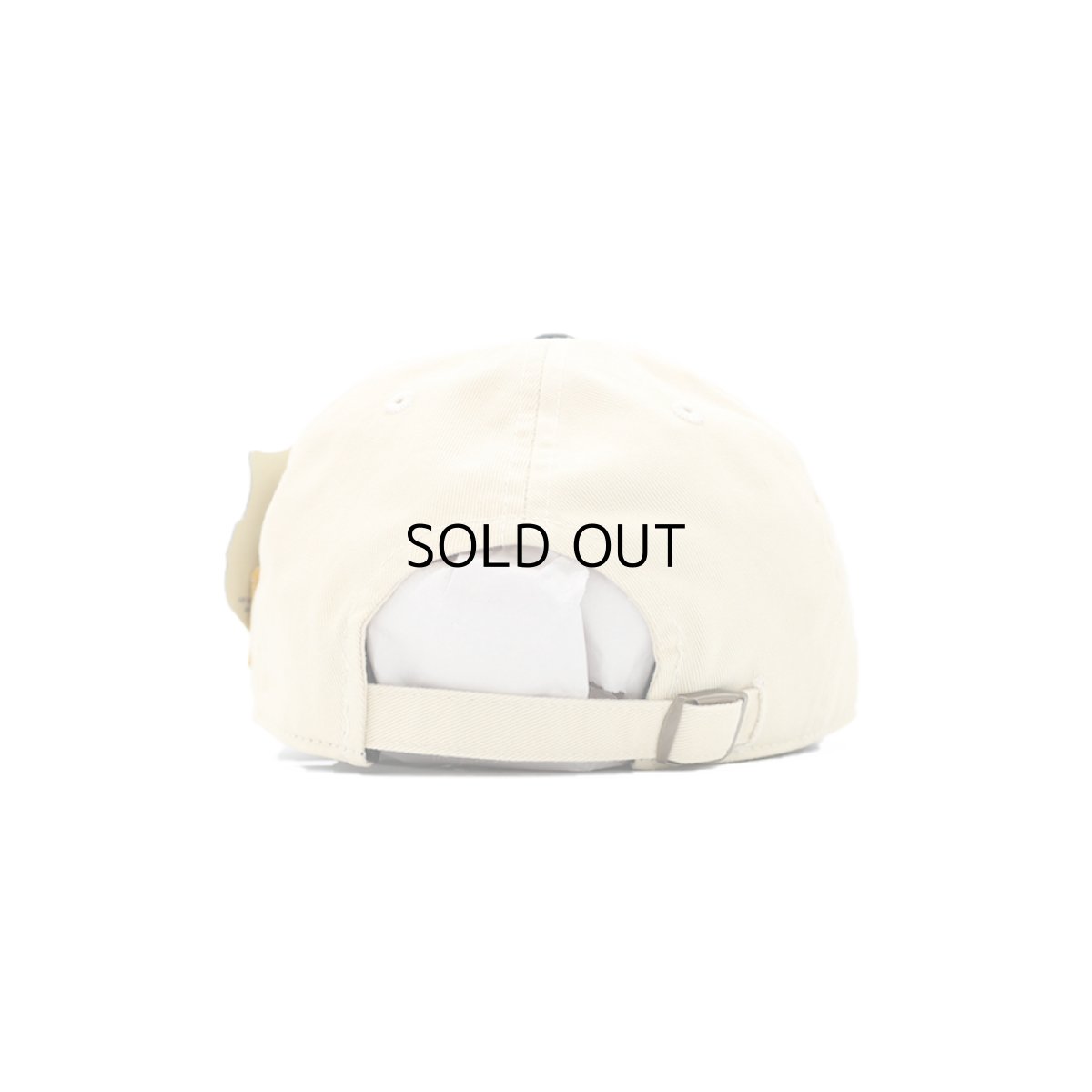 画像3: AMERICAN NEEDLE FORD CAP (3)