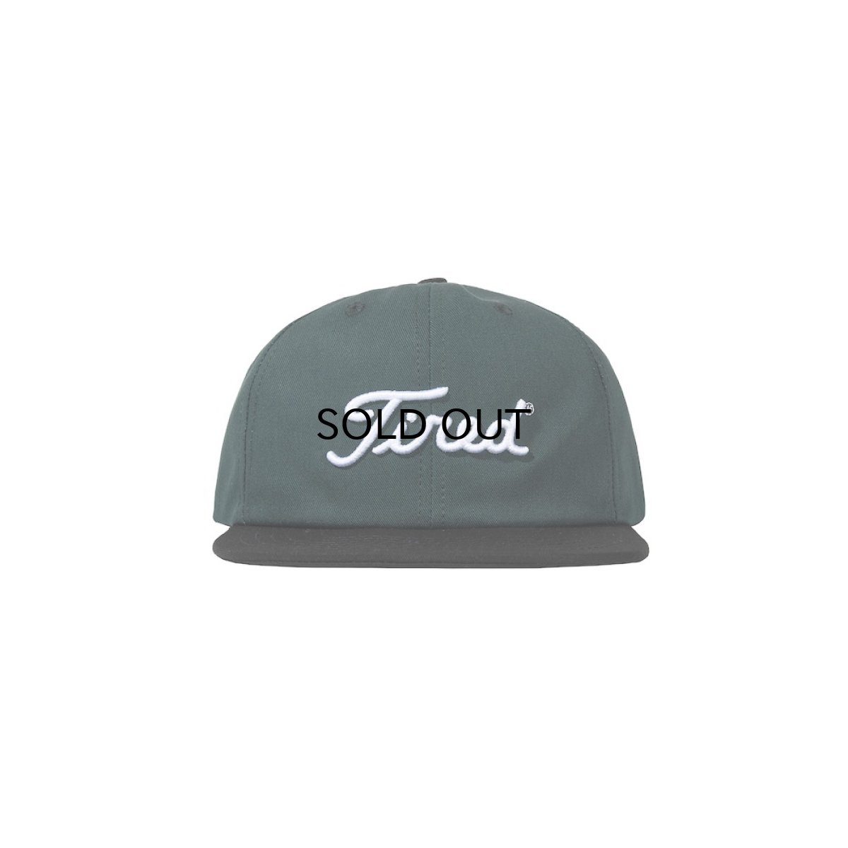 画像1: TIRED SKATEBOARDS GOLF LOGO CAP (1)