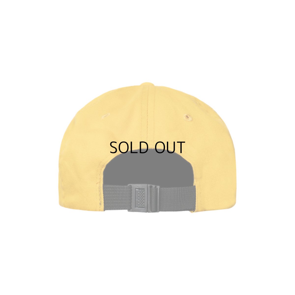 画像3: TIRED SKATEBOARDS SCHOLAR 6-PANEL CAP (3)