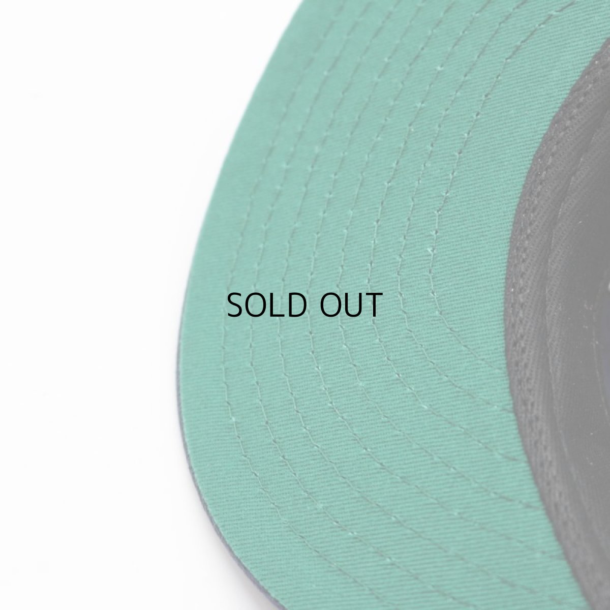 画像5: EBBETS FIELD FLANNELS BINGHAMTON TRIPLETS COTTON TWILL BALLCAP (5)