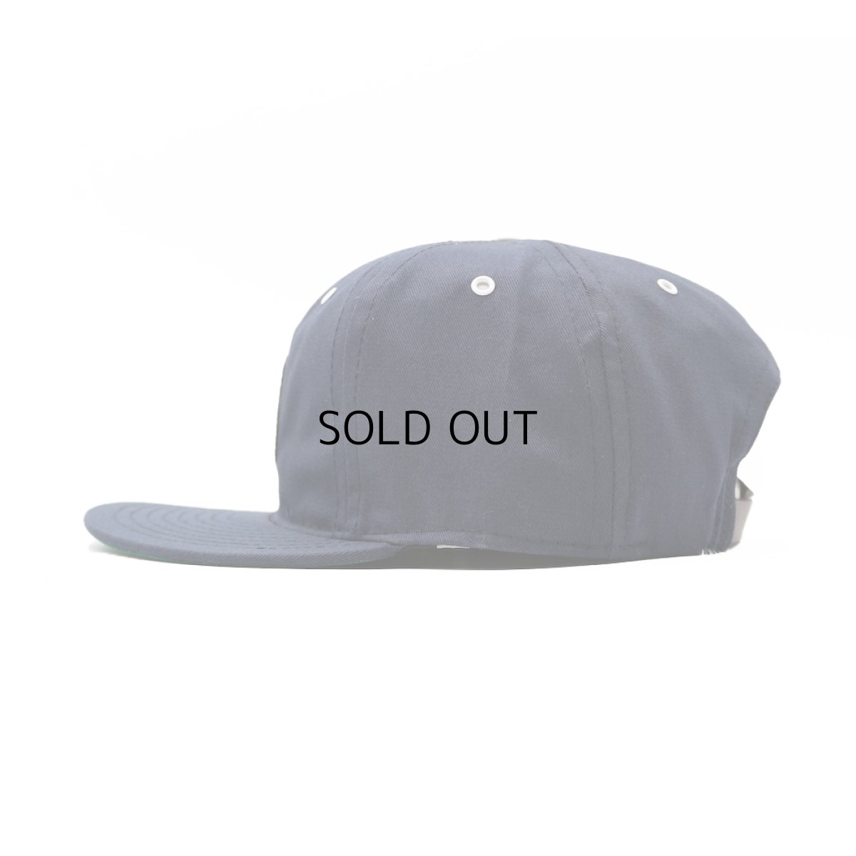 画像4: EBBETS FIELD FLANNELS BINGHAMTON TRIPLETS COTTON TWILL BALLCAP (4)