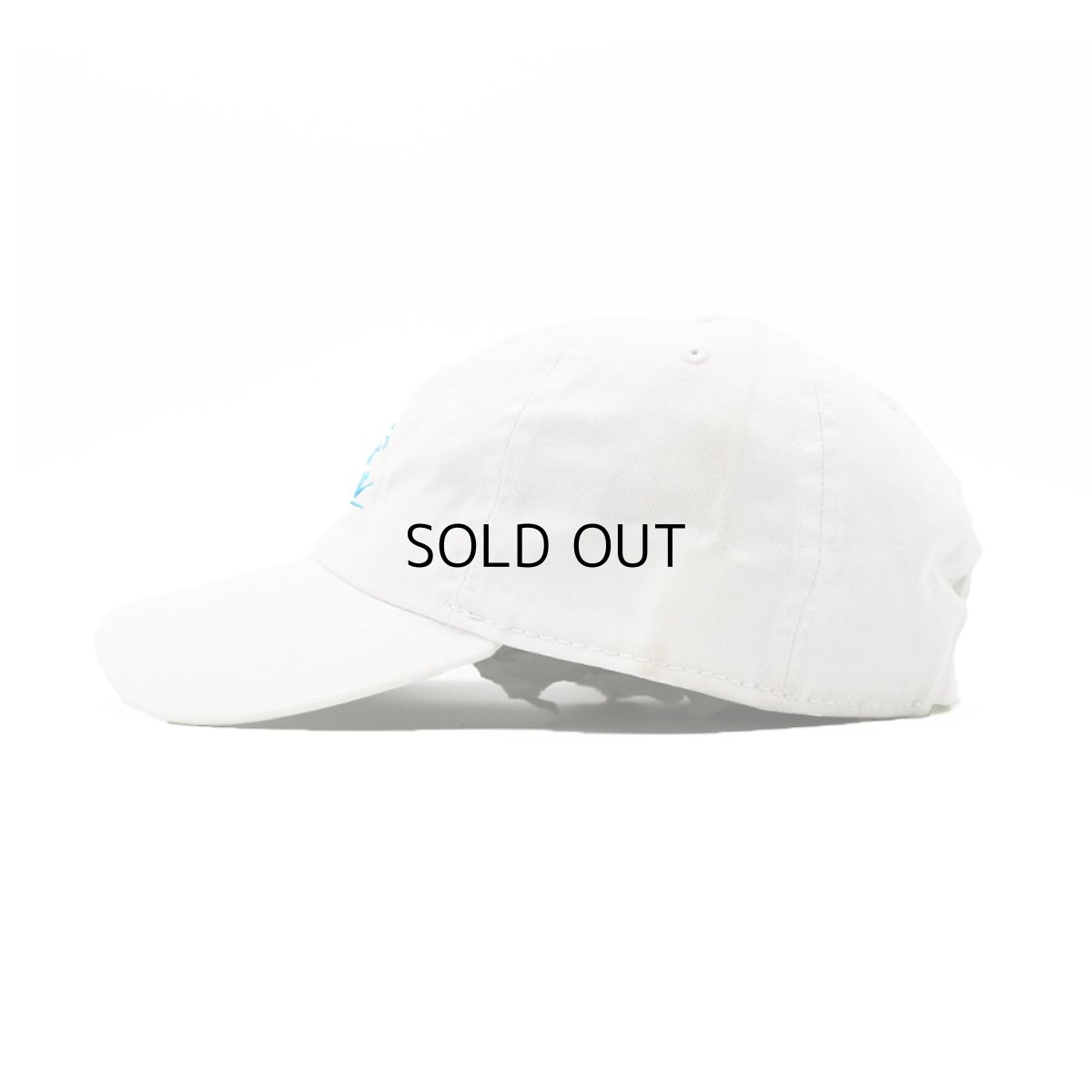 画像4: SIDESHOW NYC OFFLINE LOGO CAP《OUTLET》 (4)