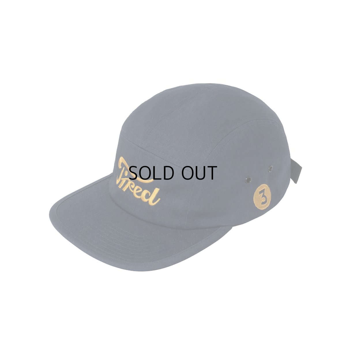 画像2: TIRED SKATEBOARDS MOTO SPORT CAP (2)