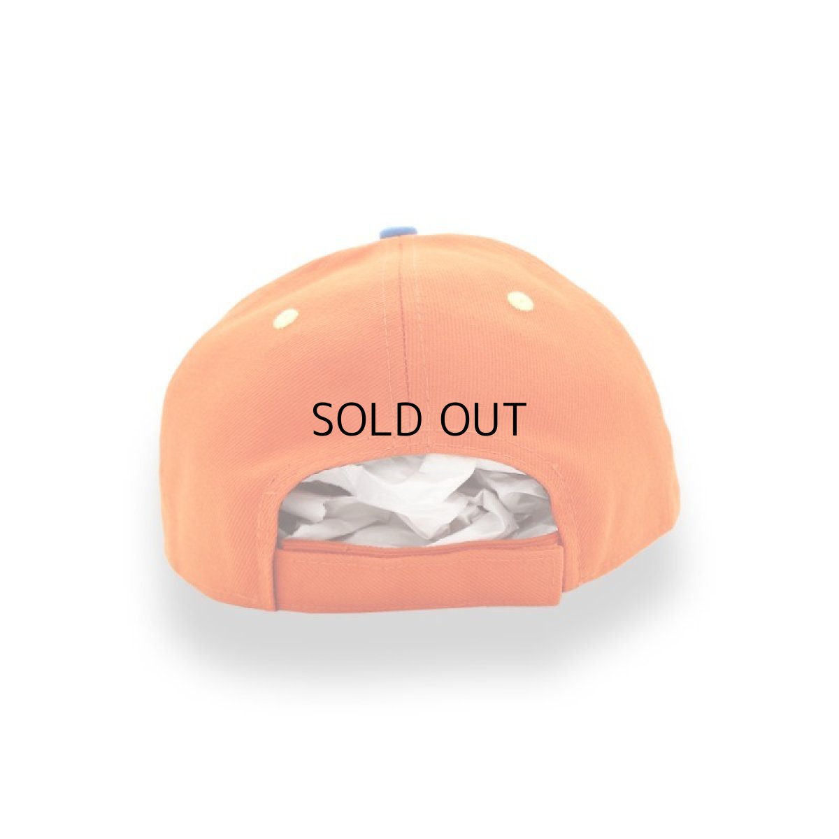 画像3: NEW ERA MILB WEST MICHIGAN WHITECAPS 9FORTY (3)